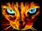 T9lIIbl4